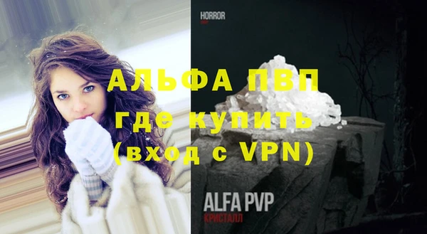 амф Новодвинск