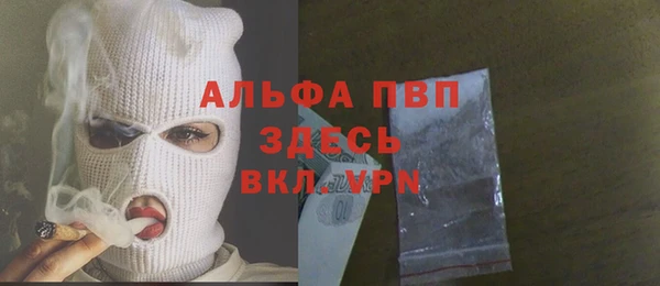 амф Новодвинск