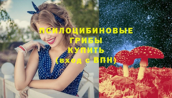 Альфа ПВП Осташков